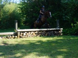 dsc05996_web